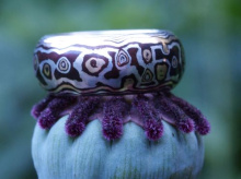 Mokume-gane ring-Turtle.JPG