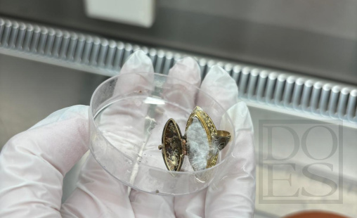 Mycelium-ring.jpg